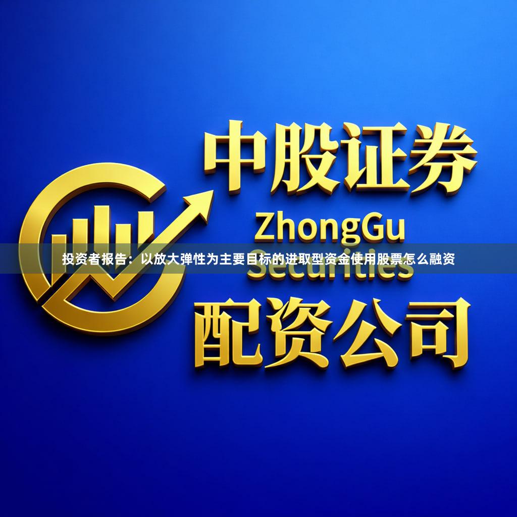 投资者报告：以放大弹性为主要目标的进取型资金使用股票怎么融资