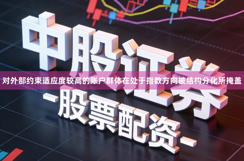 对外部约束适应度较高的账户群体在处于指数方向被结构分化所掩盖